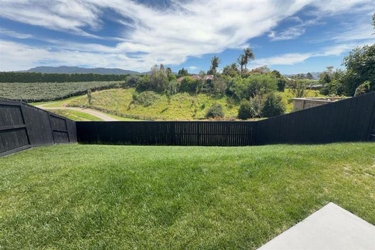 Photo of property in 87 Dunlop Road, Te Puke, 3119