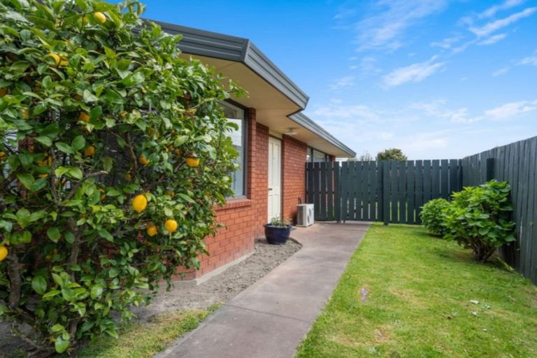 Photo of property in 33 Adams Lane, Springlands, Blenheim, 7201