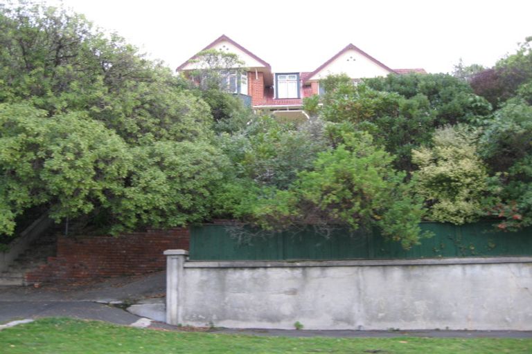 Photo of property in 100 Norfolk Street, Saint Clair, Dunedin, 9012