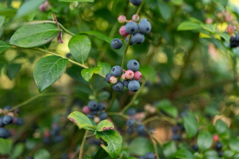 Photo of property in 10a Bridgman Lane, Tanners Point, Katikati, 3177