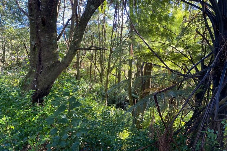 Photo of property in 36 Makahika Road, Levin, 5571