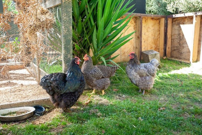 Photo of property in 103 Taotaoroa Road, Karapiro, Matamata, 3472