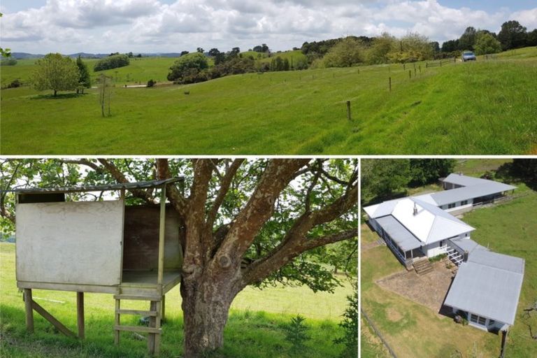 Photo of property in 535 Whakapirau Road, Whakapirau, Maungaturoto, 0583