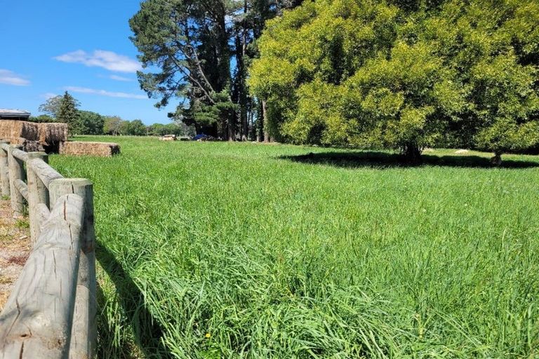 Photo of property in 954 Temuka - Orari Highway, Orari, Geraldine, 7992