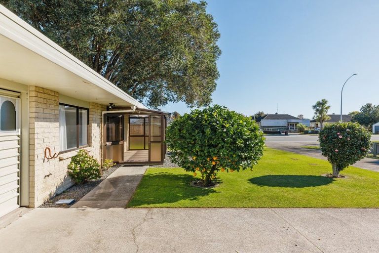Photo of property in 936a Cameron Road, Gate Pa, Tauranga, 3112