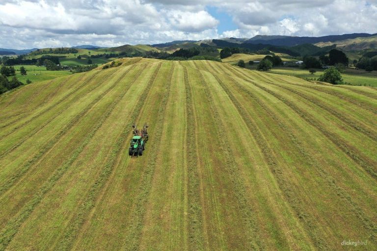 Photo of property in 211 Waitetuna Valley Road, Waitetuna, Raglan, 3295