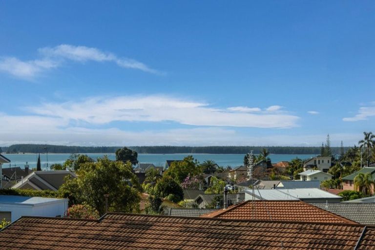 Photo of property in 171 Kings Avenue, Matua, Tauranga, 3110