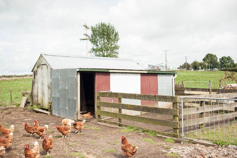 Photo of property in 367 Pinny Road, Otorohanga, 3976