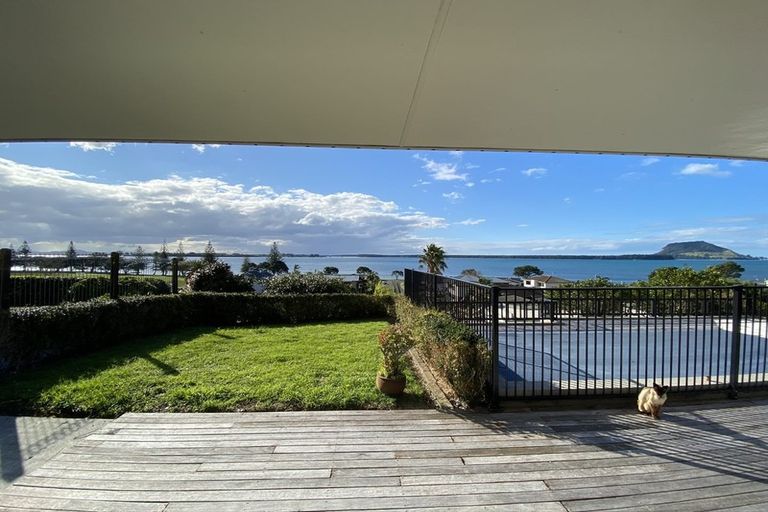 Photo of property in 69 Waratah Street, Matua, Tauranga, 3110