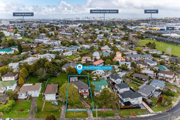 Photo of property in 38 Bond Crescent, Forrest Hill, Auckland, 0620