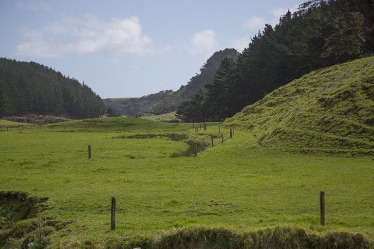 Photo of property in 49 Kai Iwi Lakes Road, Omamari, Dargaville, 0373