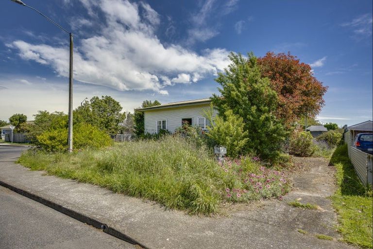 Photo of property in 700 Tamatea Street, Mahora, Hastings, 4120