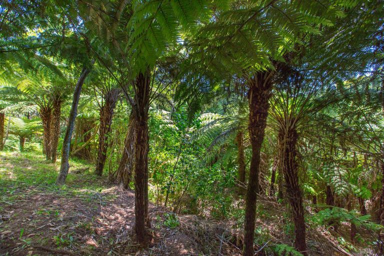 Photo of property in 22 Te Tuhi Road, Raglan, 3297