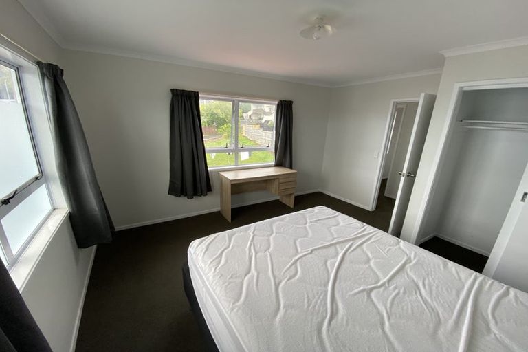 Photo of property in 103 Aurora Terrace, Hillcrest, Hamilton, 3216