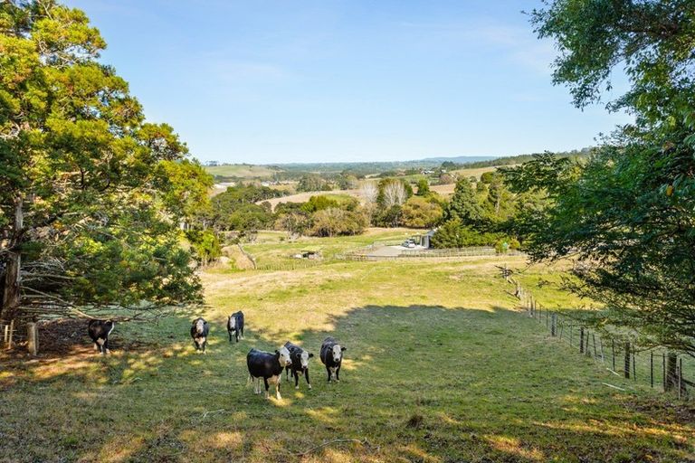 Photo of property in 290 Taylor Road, Waimauku, 0882