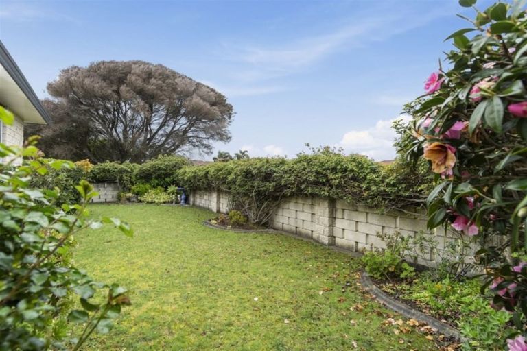 Photo of property in 203a Grenada Street, Mount Maunganui, 3116