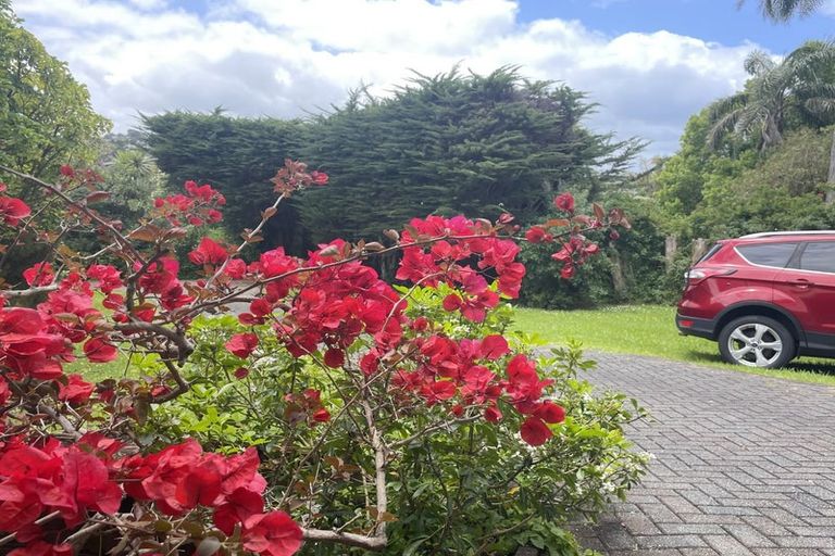 Photo of property in 15 Penning Road, Milford, Auckland, 0620