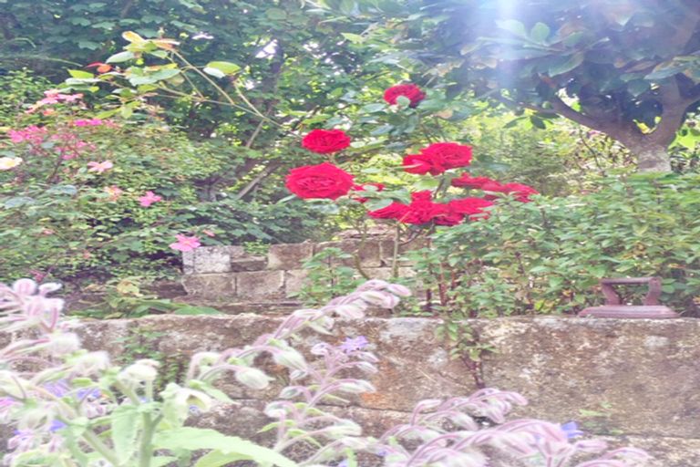 Photo of property in 8 Yare Street, Oamaru, 9400