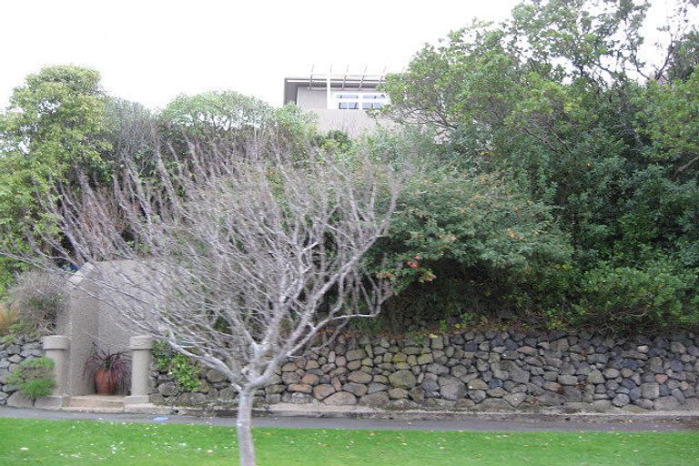 Photo of property in 102 Norfolk Street, Saint Clair, Dunedin, 9012