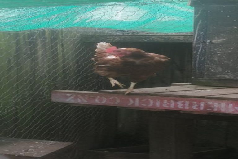 Photo of property in 28b Dingadee Street, Welcome Bay, Tauranga, 3112