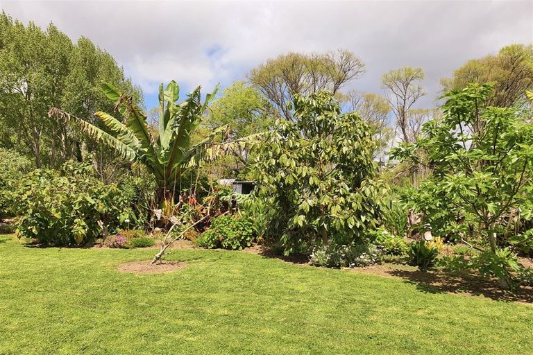 Photo of property in 7 Williams Street, Kawakawa, 0210