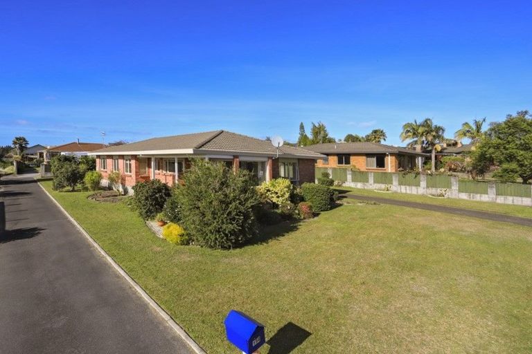 Photo of property in 156 Boucher Avenue, Te Puke, 3119