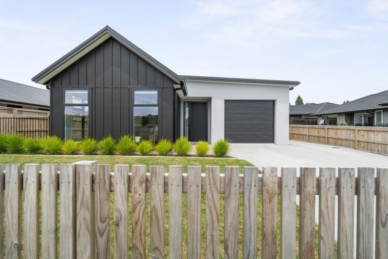 Photo of property in 205 Adler Drive, Ohauiti, Tauranga, 3112