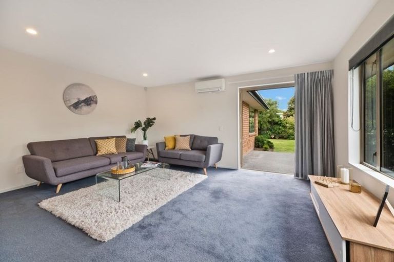 Photo of property in 115 Somerfield Street, Somerfield, Christchurch, 8024