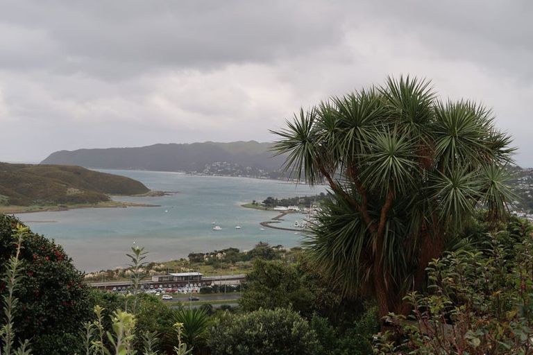 Photo of property in 45 Eskdale Road, Papakowhai, Porirua, 5024