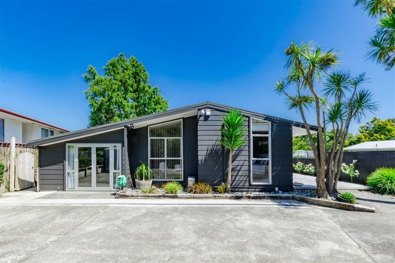 Photo of property in 31 Kaimanawa Street, Paraparaumu, 5032