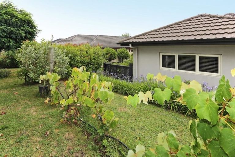 Photo of property in 16 Russell Robertson Drive, Havelock North, 4130