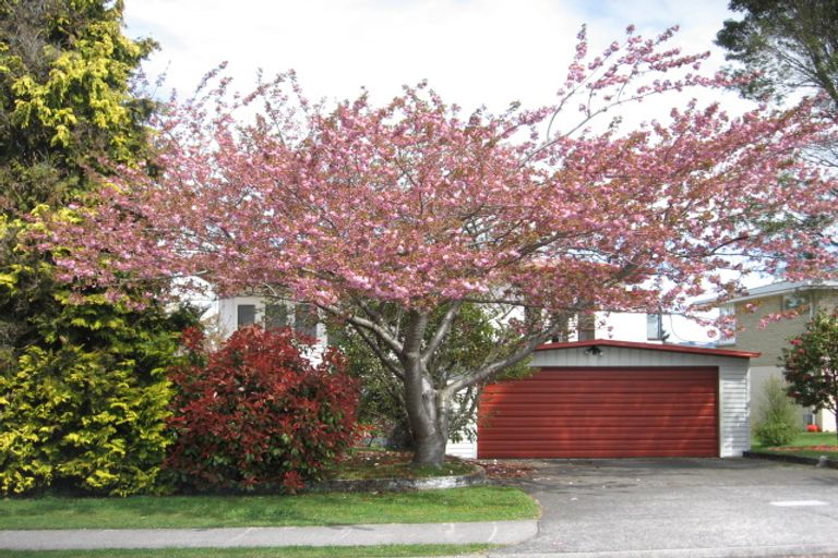 Photo of property in 25 Kaka Street, Taupo, 3330