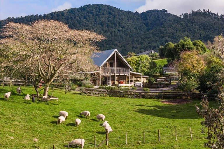 Photo of property in 325d Rea Road, Tahawai, Katikati, 3178