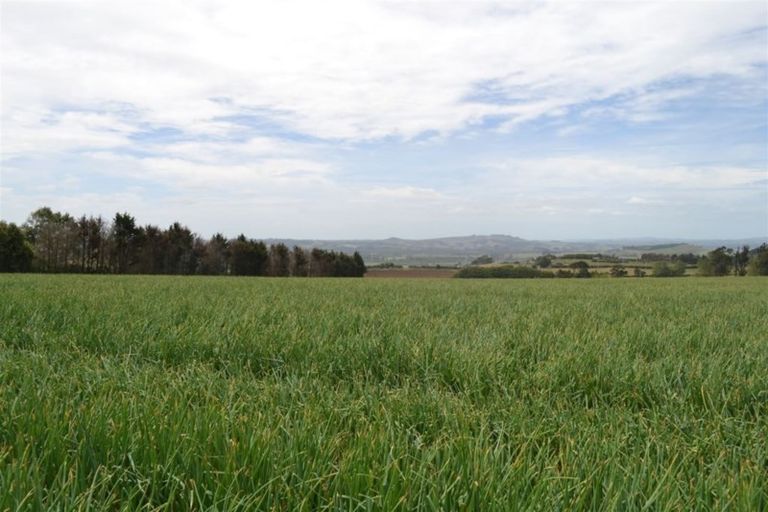 Photo of property in 59 Lee Road, Te Kohanga, 2693