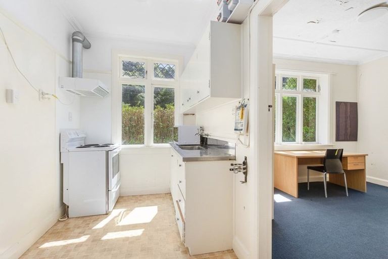 Photo of property in 217 Aro Street, Aro Valley, Wellington, 6021