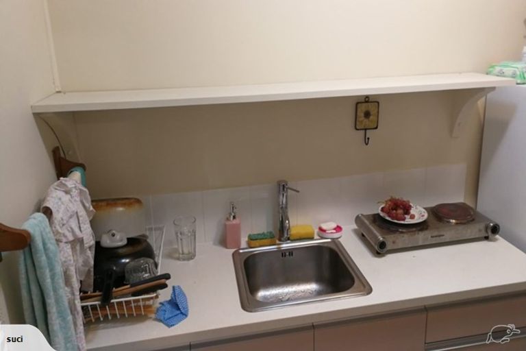 Photo of property in 19 Albany Road, Ponsonby, Auckland, 1011