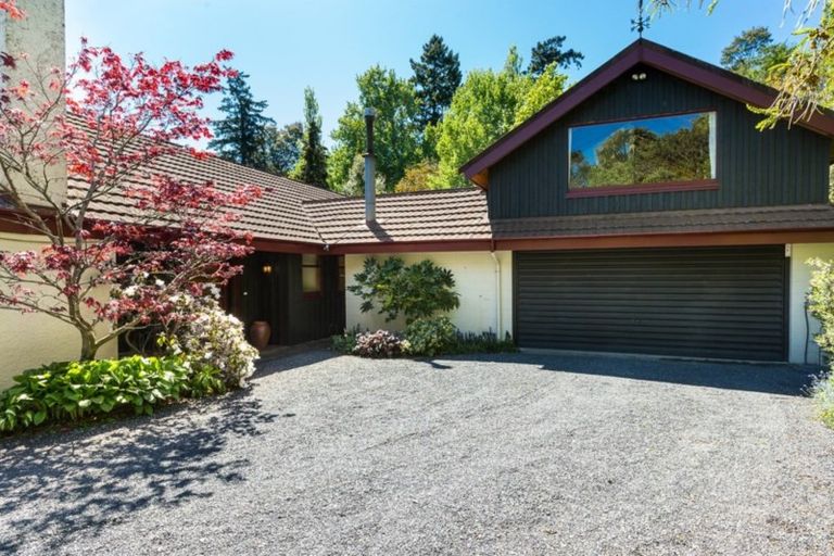 Photo of property in Wairongoa Springs, 287 Wairongoa Road, North Taieri, Mosgiel, 9092