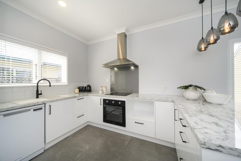 Photo of property in 29 Limbrick Street, Terrace End, Palmerston North, 4410