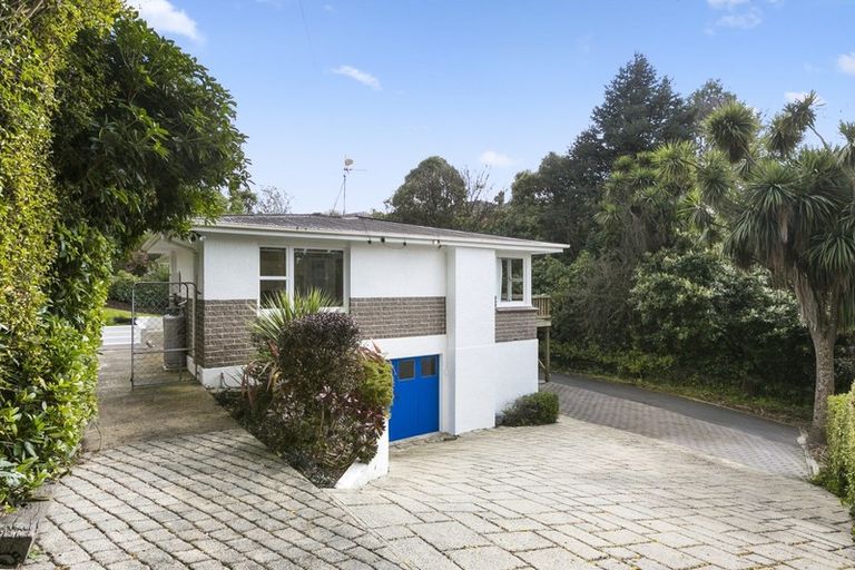 Photo of property in 49 Pacific Street, Roslyn, Dunedin, 9010