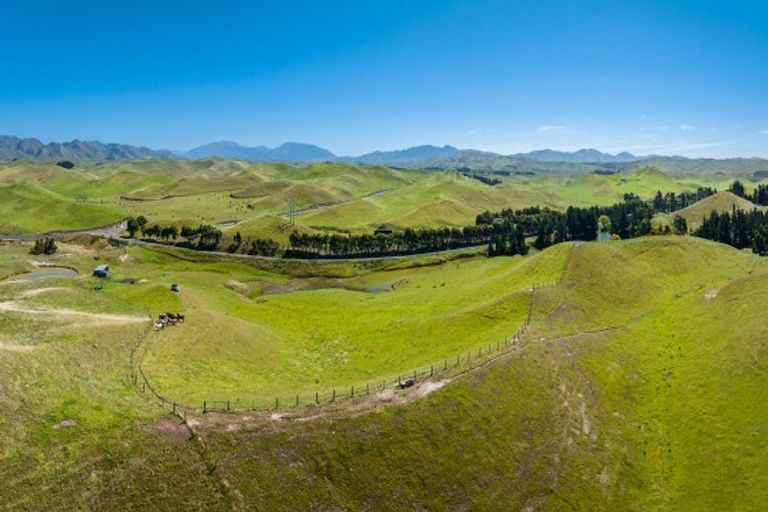 Photo of property in 363 Caseys Road, Lake Grassmere, Seddon, 7285