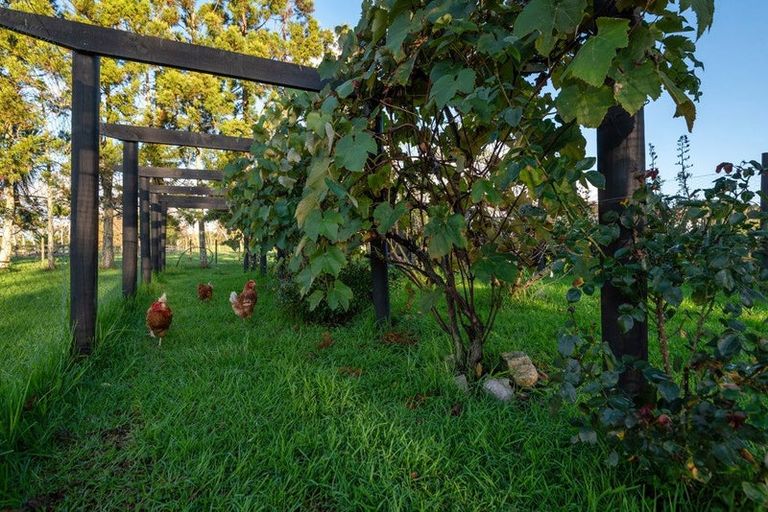 Photo of property in 1343 Kahikatea Flat Road, Kaukapakapa, 0871