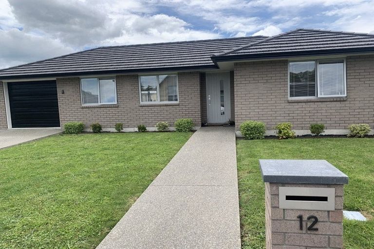 Photo of property in 12 Tarata Grove, Lansdowne, Masterton, 5810