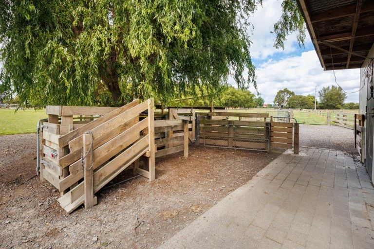 Photo of property in 512 Milson Line, Newbury, Palmerston North, 4478