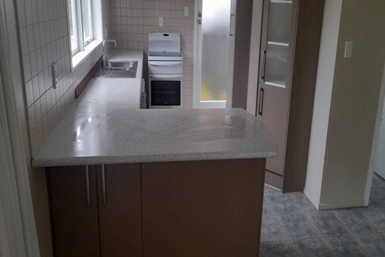 Photo of property in 99 Coronation Road, Hillcrest, Auckland, 0627