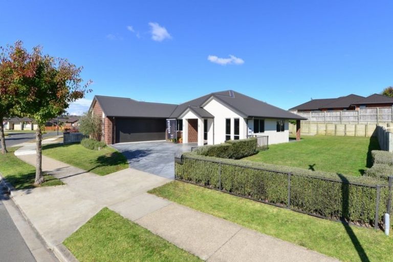 Photo of property in 3 Meadowfield Street, Flagstaff, Hamilton, 3210