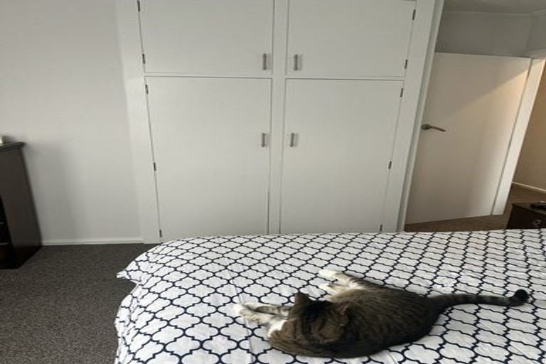 Photo of property in 16 Wingate Street, Redwood, Christchurch, 8051