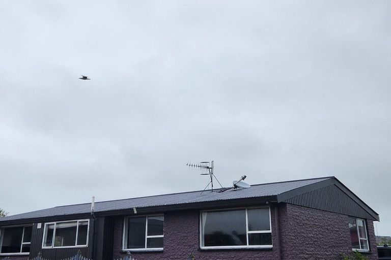 Photo of property in 46 Dundee Place, Strathern, Invercargill, 9812