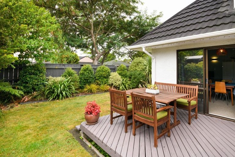 Photo of property in 8 Mcarthur Street, Terrace End, Palmerston North, 4410