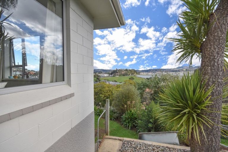 Photo of property in 36 Heath Street, Andersons Bay, Dunedin, 9013