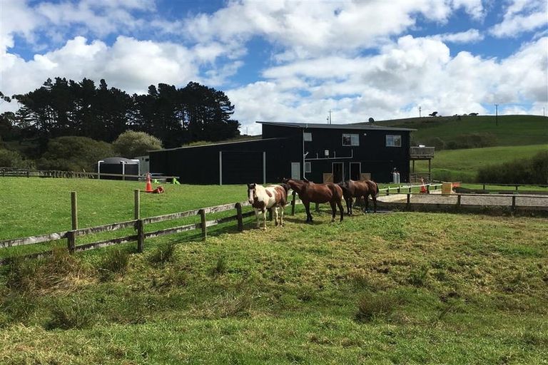 Photo of property in 348 Horseshoe Bush Road, Dairy Flat, Albany, 0794